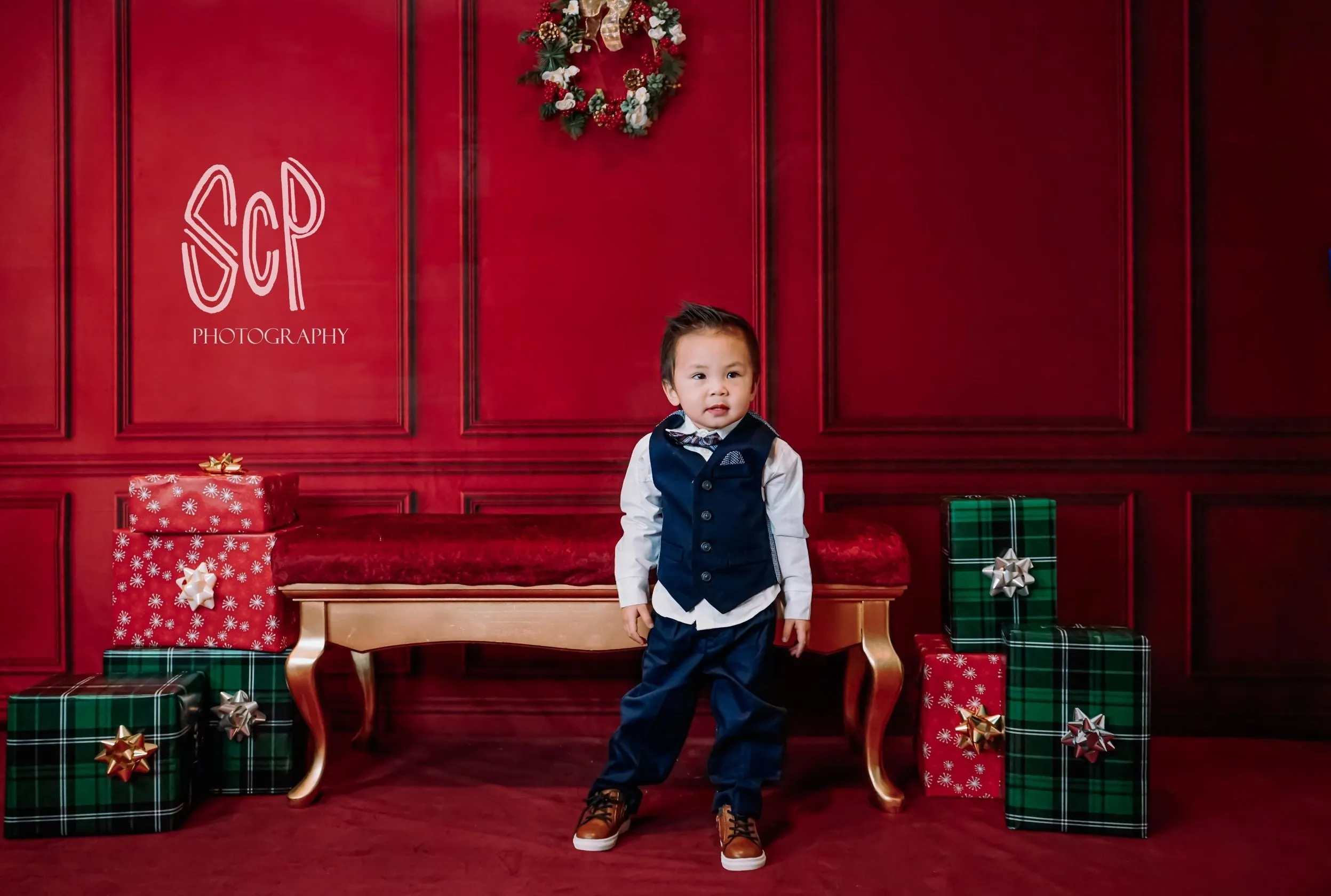 Kate Red Vintage Wall Fleece Backdrop for Photography