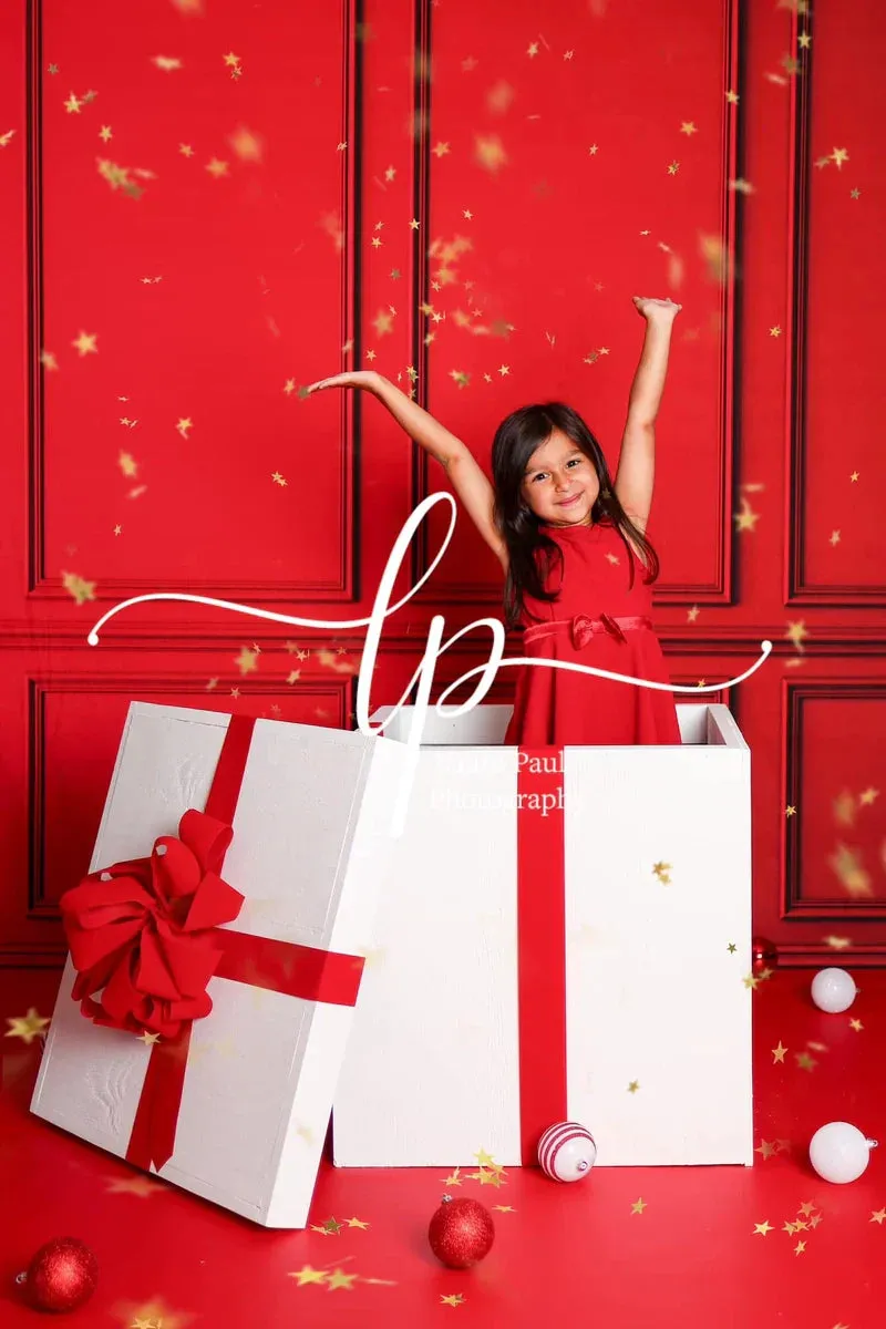 Kate Red Vintage Wall Fleece Backdrop for Photography
