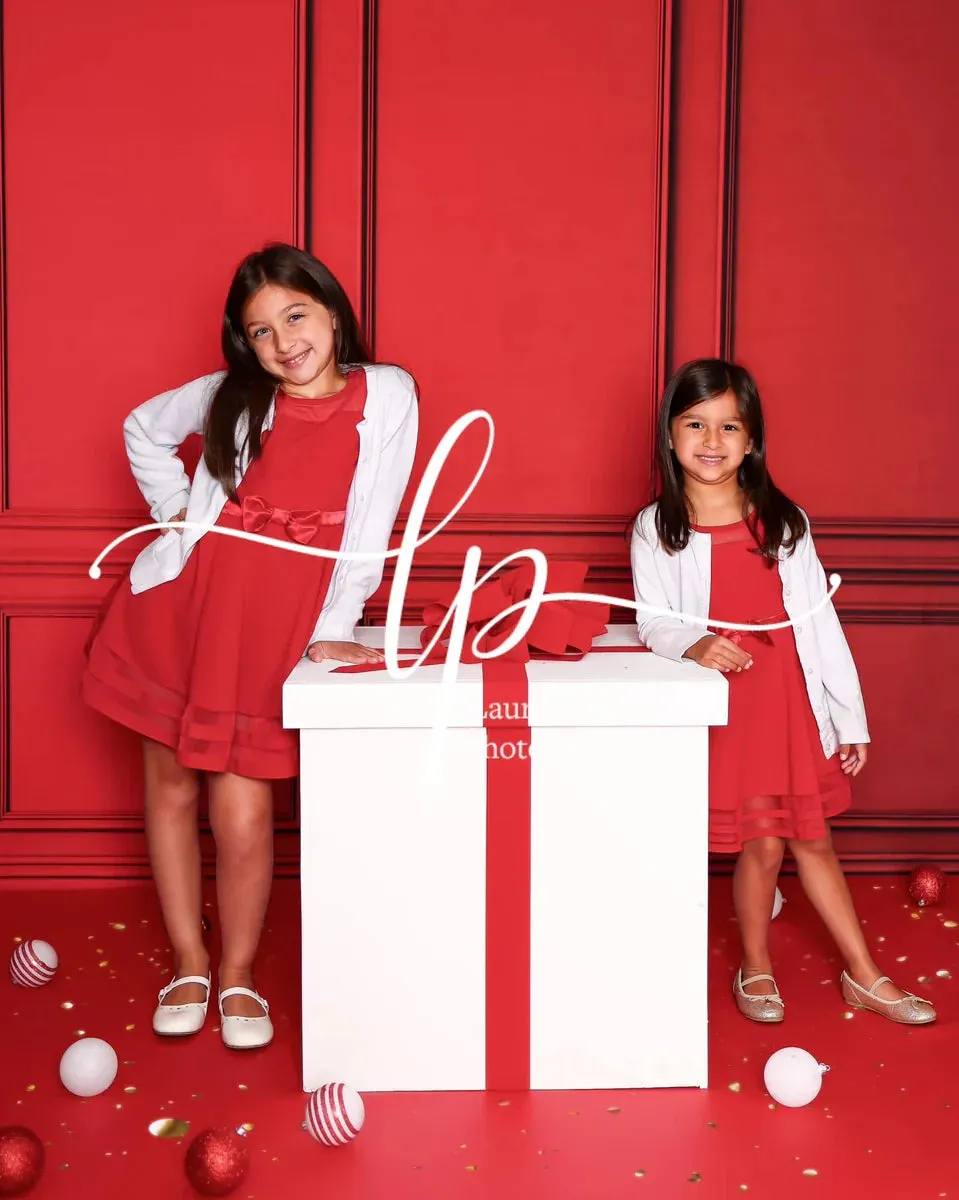 Kate Red Vintage Wall Fleece Backdrop for Photography