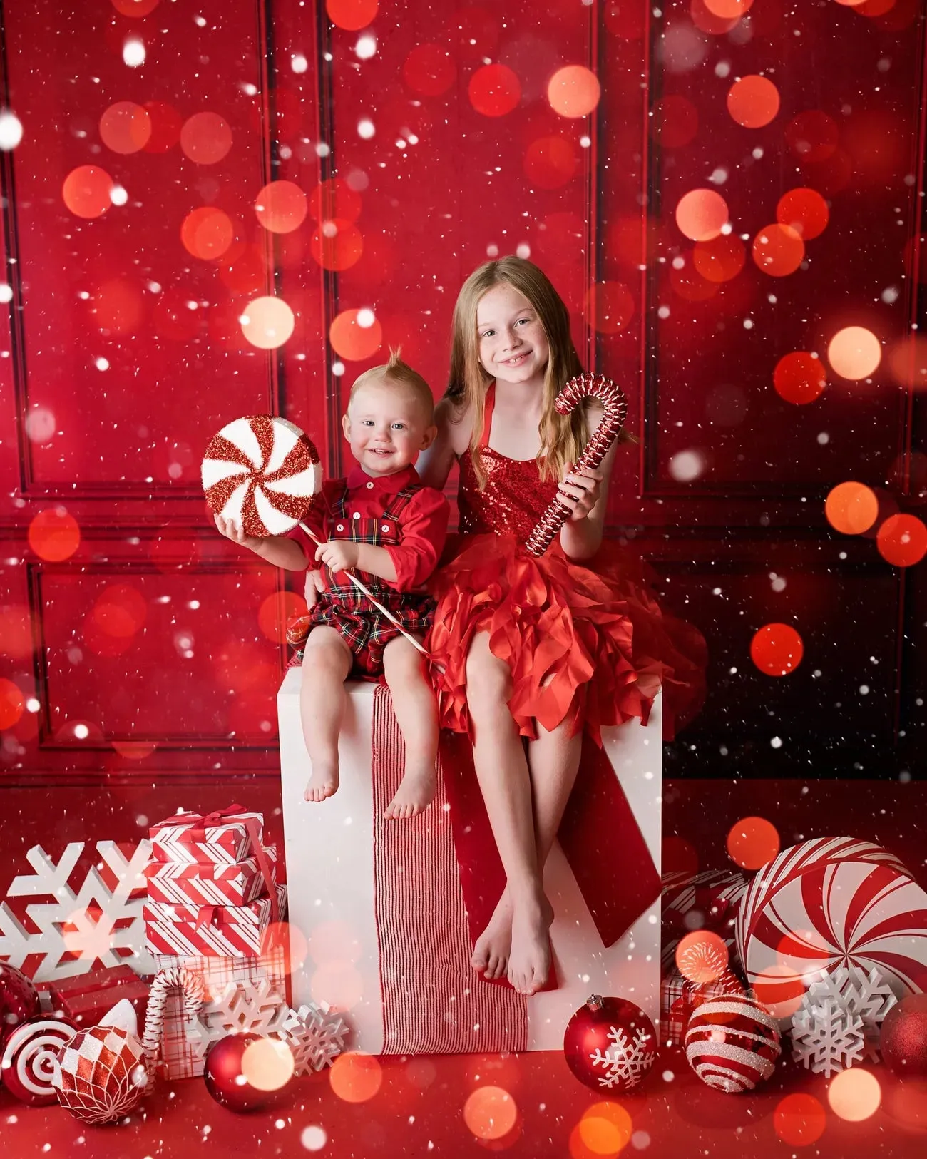 Kate Red Vintage Wall Fleece Backdrop for Photography